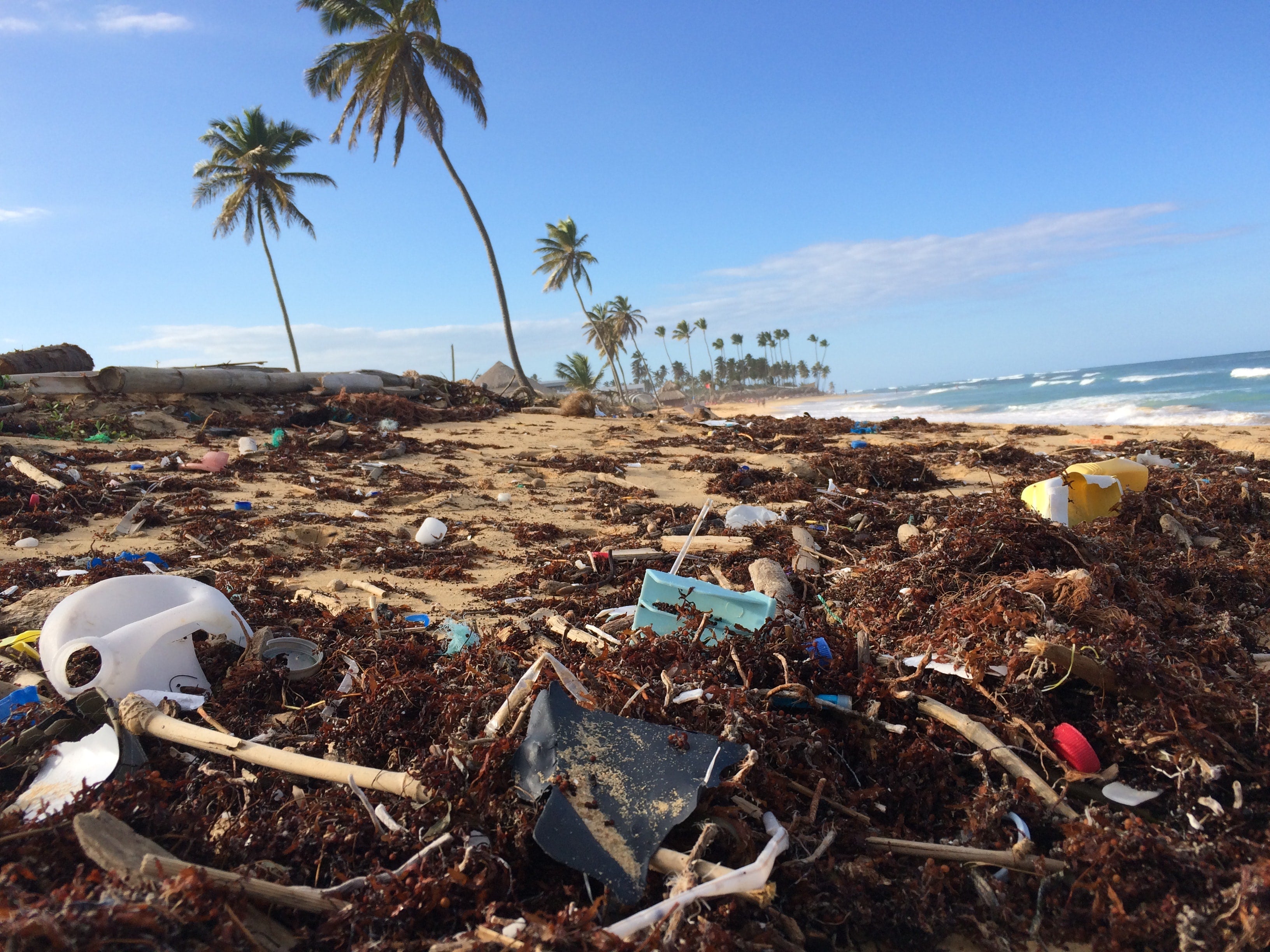 Rebuilding Coral Reefs with Reef Life Foundation