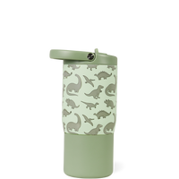 Dinosaur product image