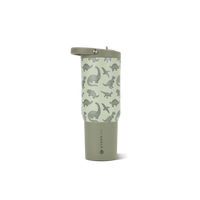 Dinosaur product image