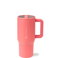 Salmon product image